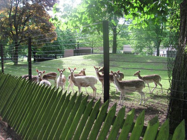 Hertenkamp Bergen NH